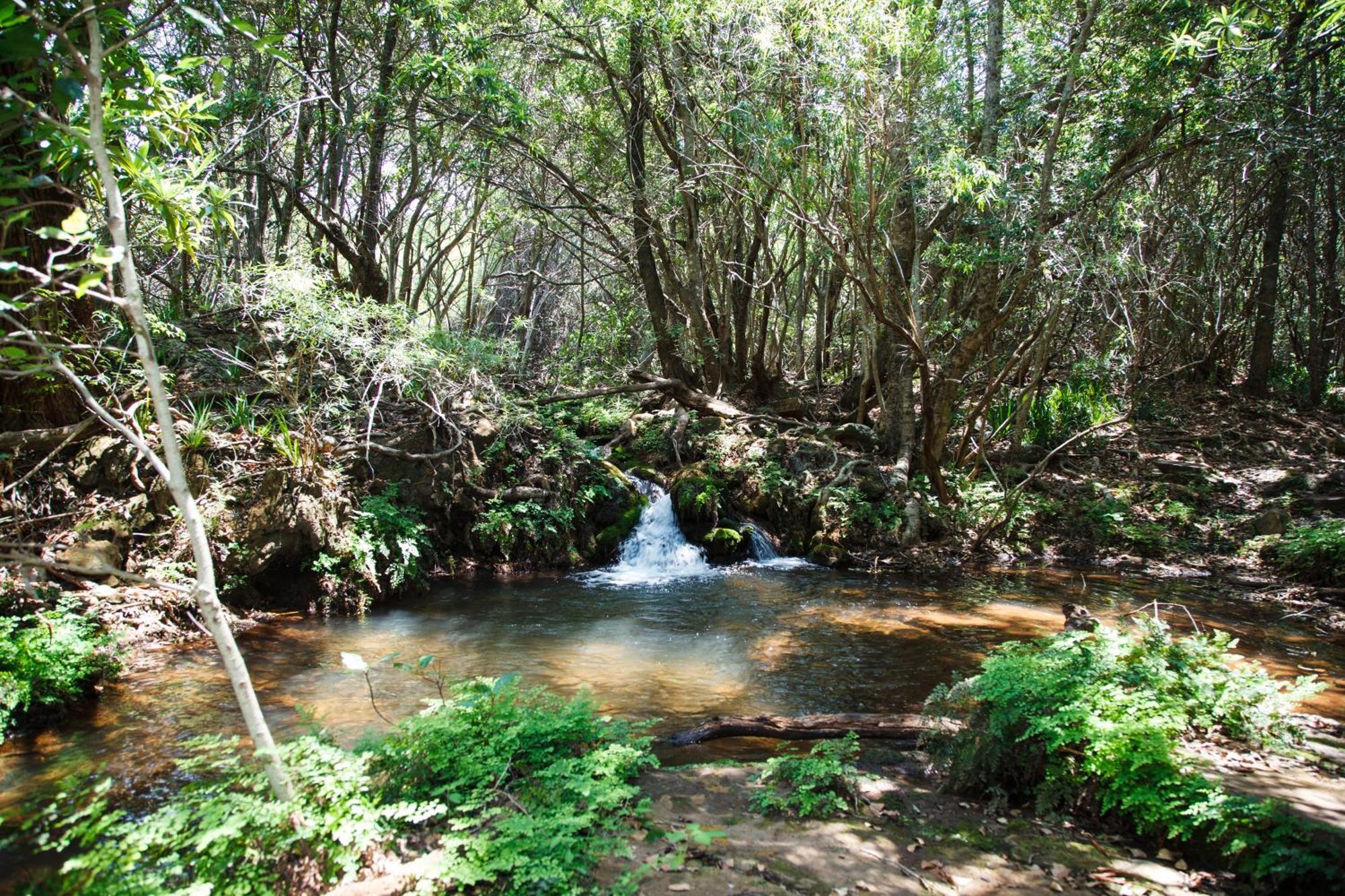 Matibidi Blyde Canyon, A Forever Resort מראה חיצוני תמונה
